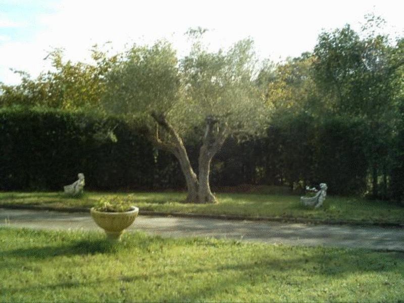 Hotel Camping Ribadesella Εξωτερικό φωτογραφία